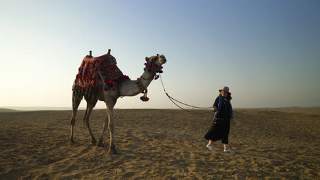 Woman-Walking-A-Camel-In-The-Desert-In-Cairo,-Egypt---wide-shot,-slow-motion