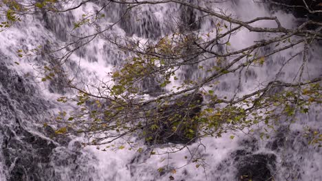 Schöner-Wasserfall,-Der-Hinter-Zweigen-Mit-Herbstfarbenblättern-Fällt