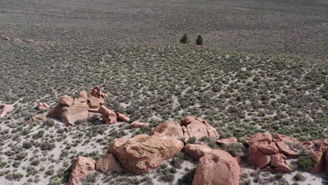 Desert-landscape-with-sparse-vegetation-and-rock-formations,-aerial-view