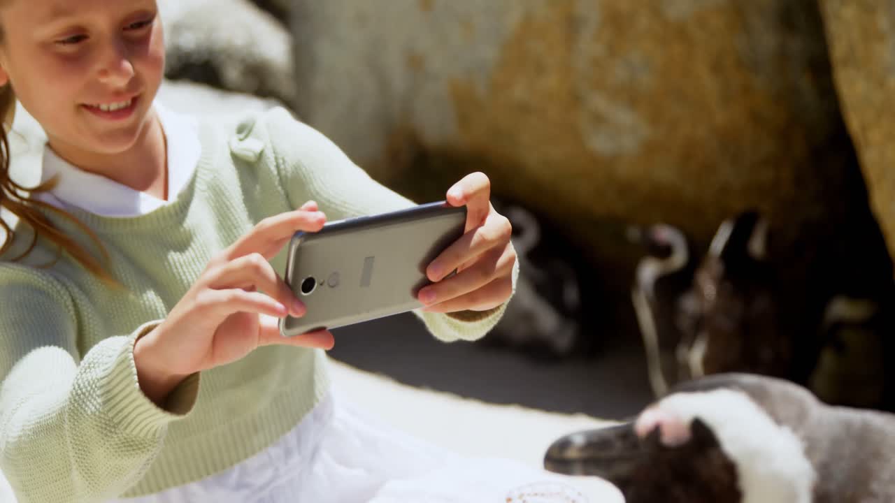 chica tomando una foto de un joven pájaro pingüino con un teléfono móvil 4k