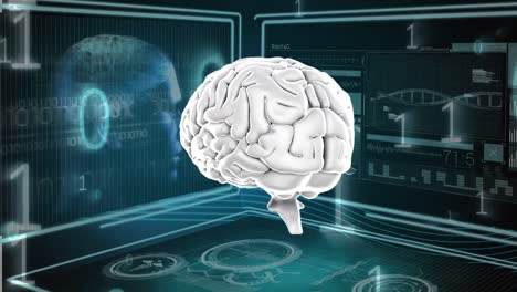 cerebro humano y códigos binarios