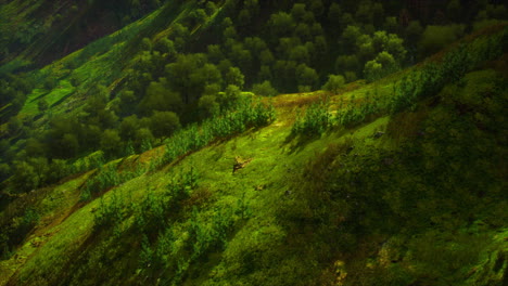 Aufnahme-Eines-Baches-Inmitten-Grüner-Wälder,-Umgeben-Von-Hügeln