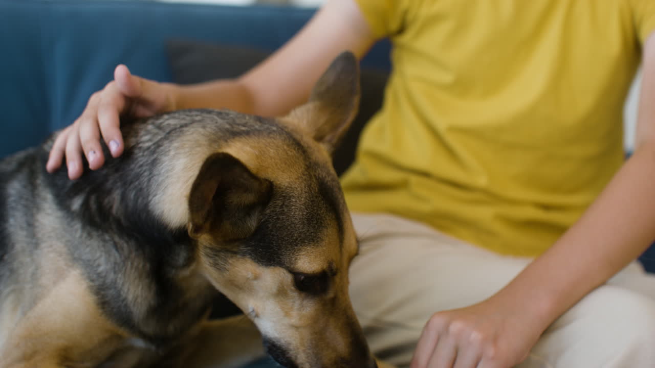 Girl and dog at home