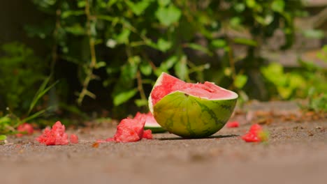 half a watermelon falling onto concrete floor and smashing into pieces in slow motion. highly detailed fruit destruction