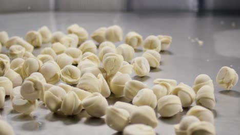 frozen dumplings production line