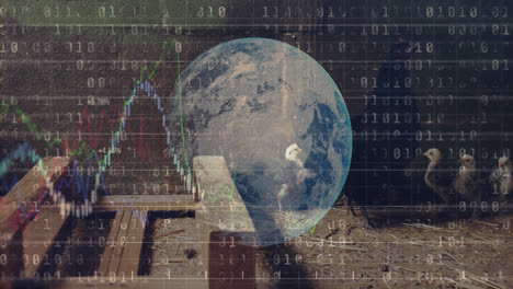 Animation-of-data-processing-and-globe-over-hens