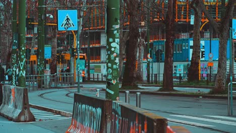 milan city, tree trunks devoid of leaves, graffiti everywhere, vehicles