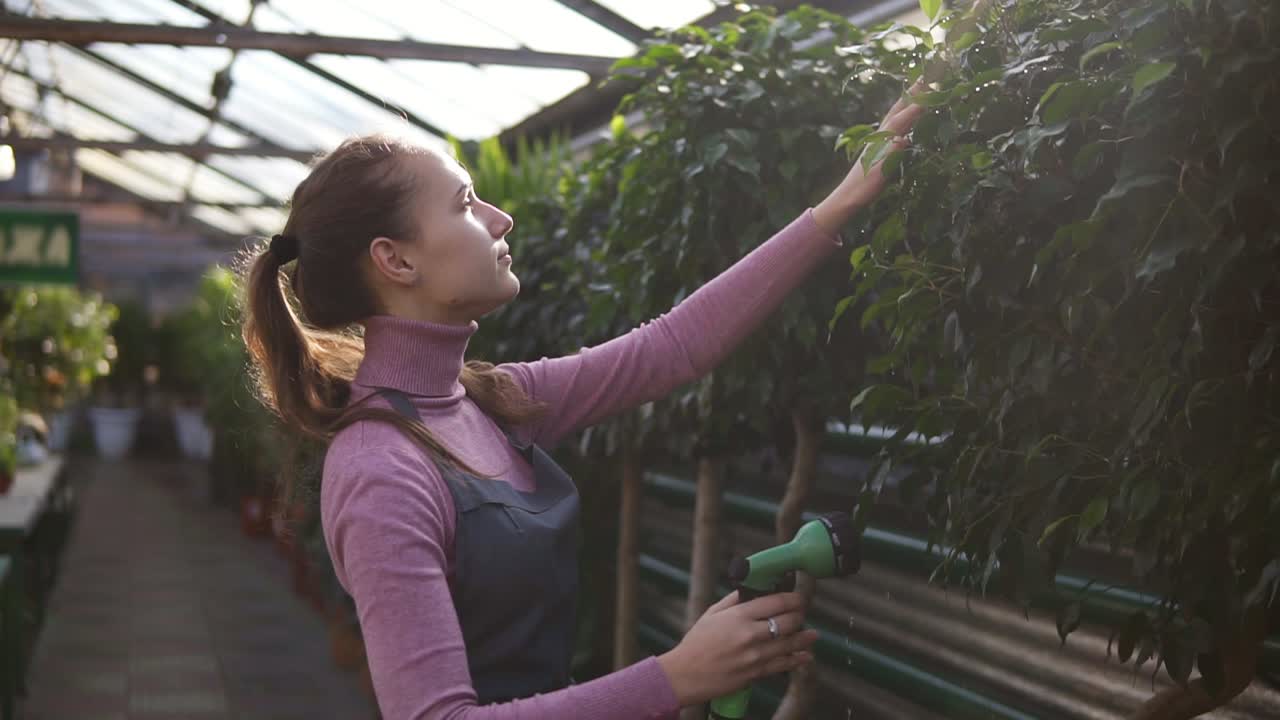 joven jardinera atractiva en uniforme regando plantas con manguera de jardín en el invernadero