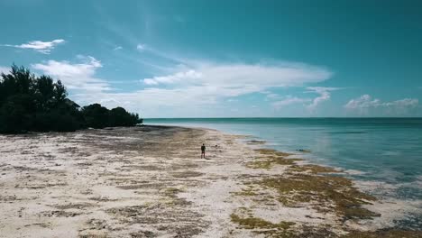 wonderful forwards slowly rise up drone shot of one guy at a lonely beach at midday noon time