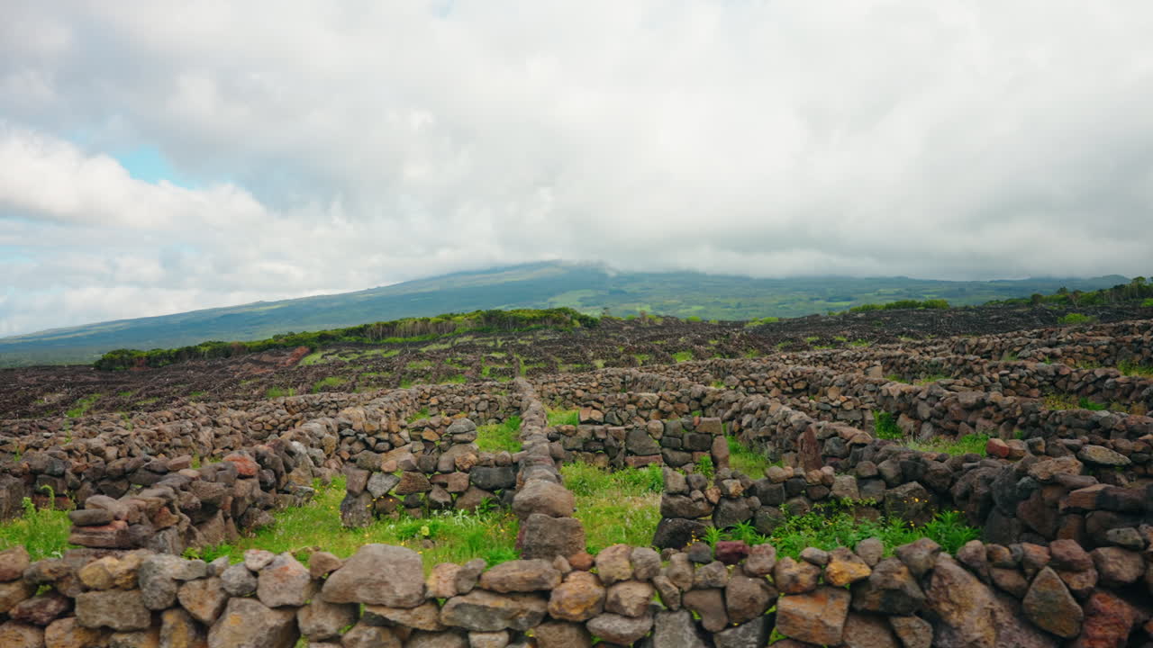 Ampia inquadratura di roccia lavica per i muri dei vigneti sull'isola di Pico, nelle Azzorre, Portogallo.