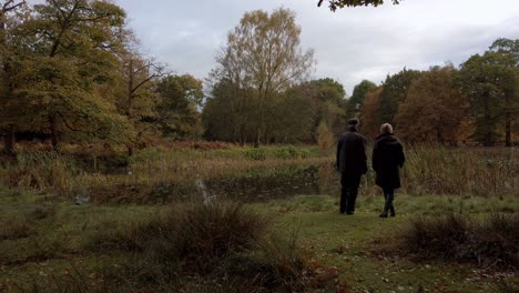 unrecognisable couple looking over a nature pond in autumn