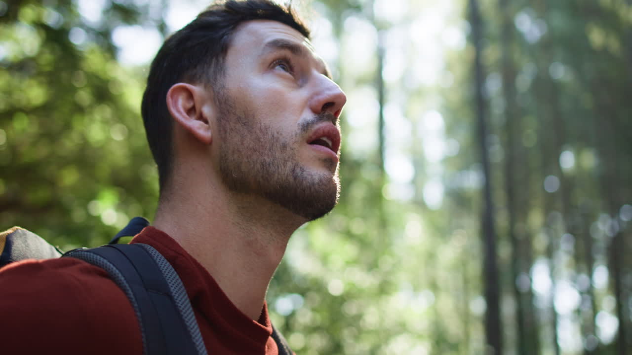 Man hiking in a lush forest