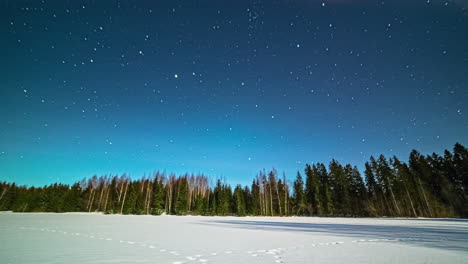 time lapse of flying stars at night sky over silhouette of forest trees in winter season - twilight shot