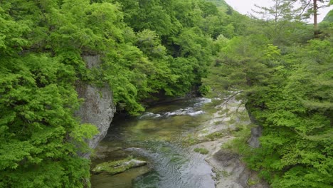 Beautiful nature scenery with cliffs, river and green forest in nature