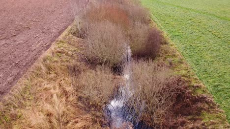 An-old-land-reclamation-ditch-overgrown-with-bushes-aerial-view