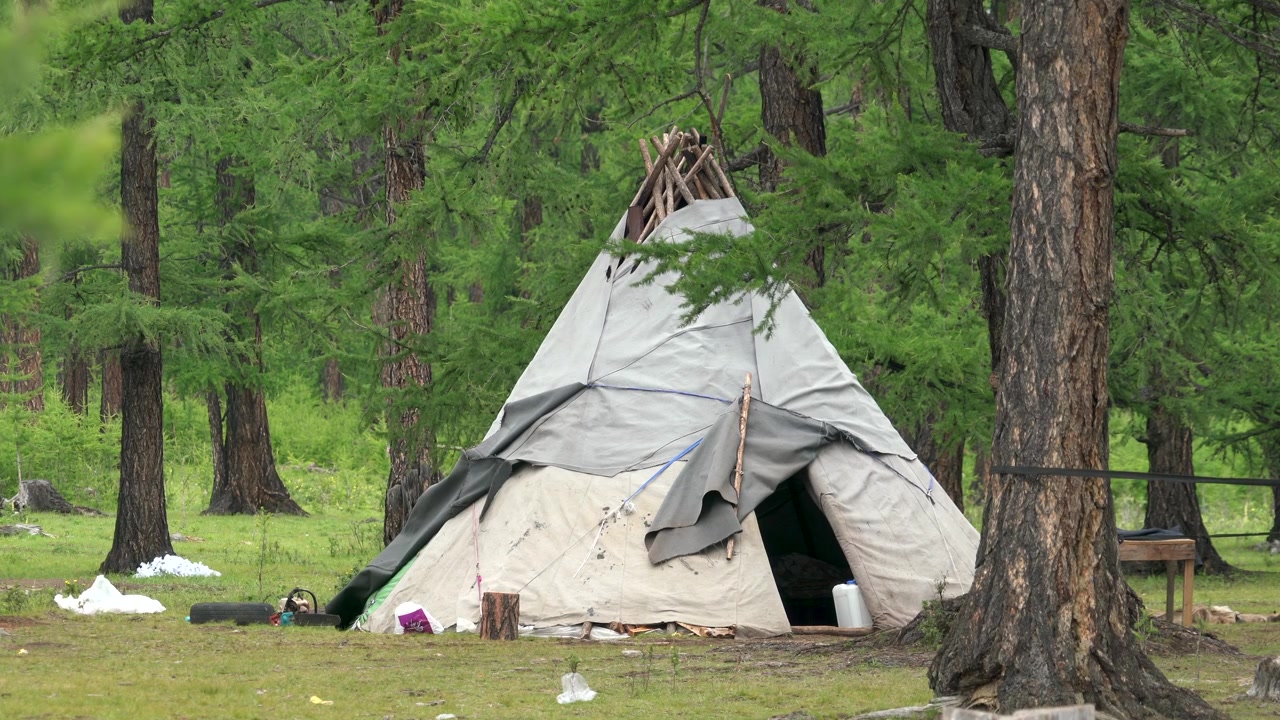 Tenda teepee tradizionale in un ambiente boschivo