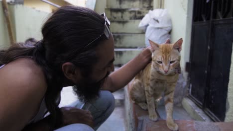 beard man with indian billi breed also known as indian common cat