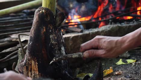 Primer-Plano-De-Una-Cabeza-De-Cabra-Que-Se-Limpia-De-La-Quema-De-Madera