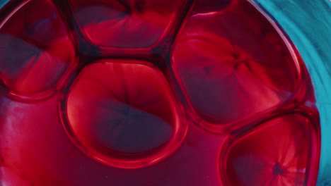blood forming cellular-like patterns in glass container during medical test