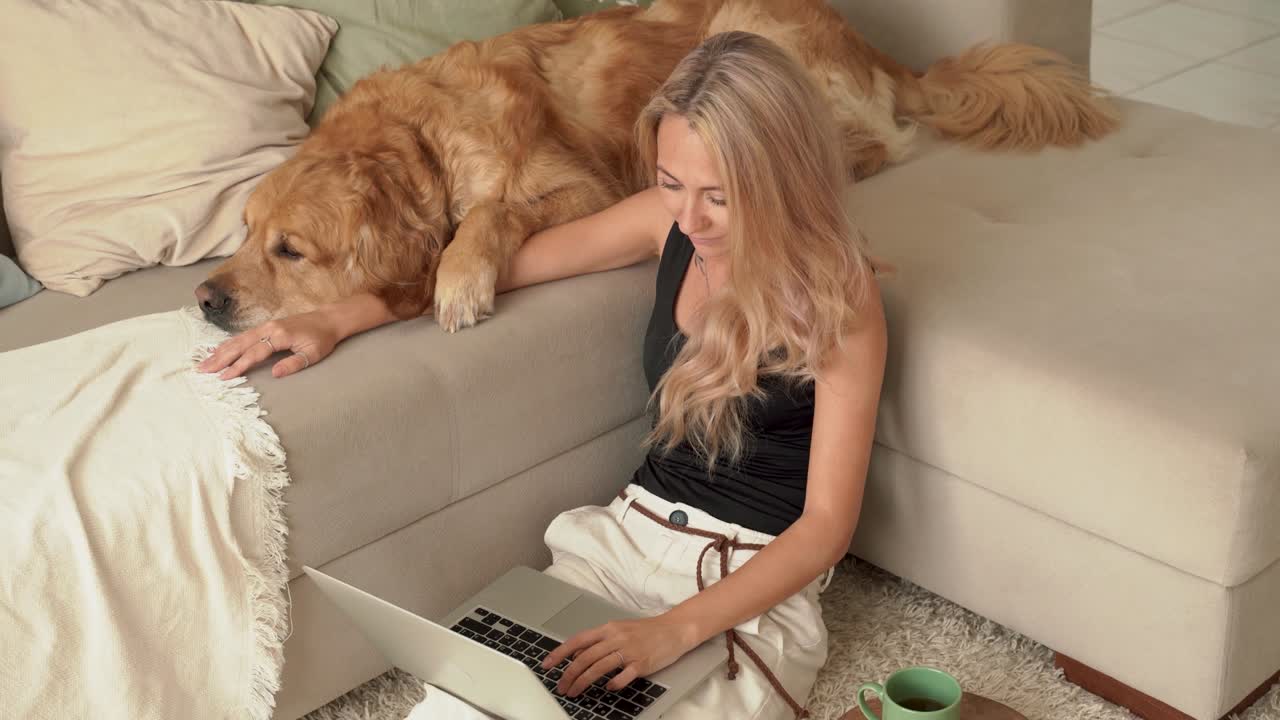 Top view of one female pet owner is petting and stroking cute labrador
