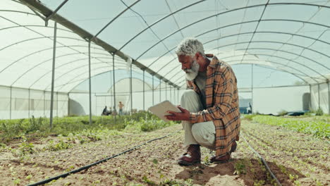 Farmer,-senior-man-and-tablet-with-soil