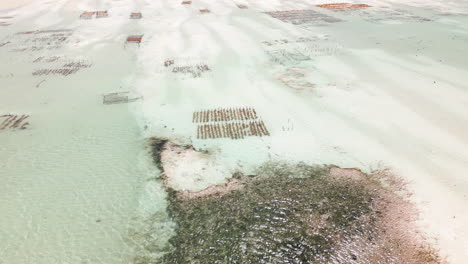 vista de las zonas de cultivo de algas marinas en aguas costeras poco profundas desde arriba