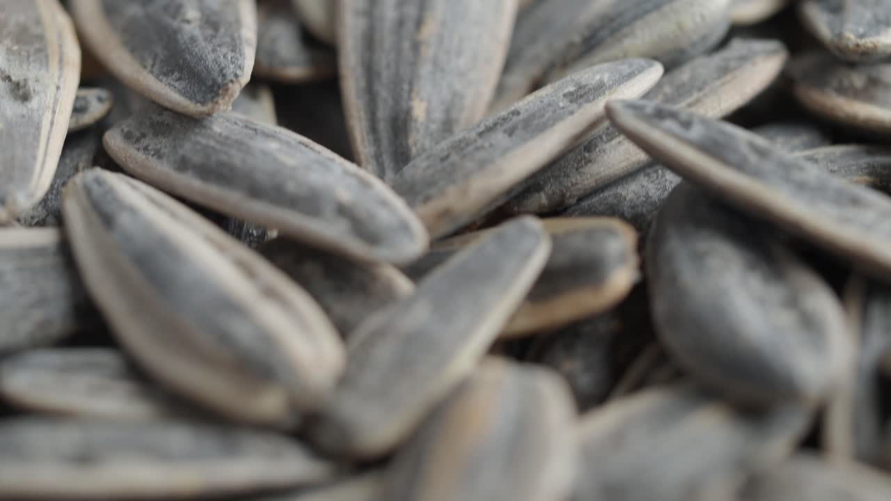 태양꽃 씨의 근접 촬영