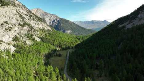 aerial top shot over a road with fir forest french alps sunny day