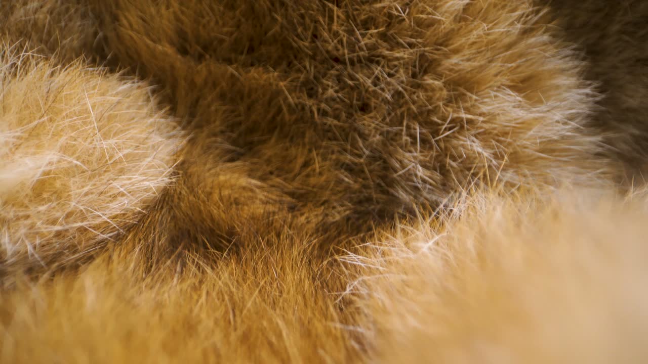 The brown and white furry fabric cloth on the table