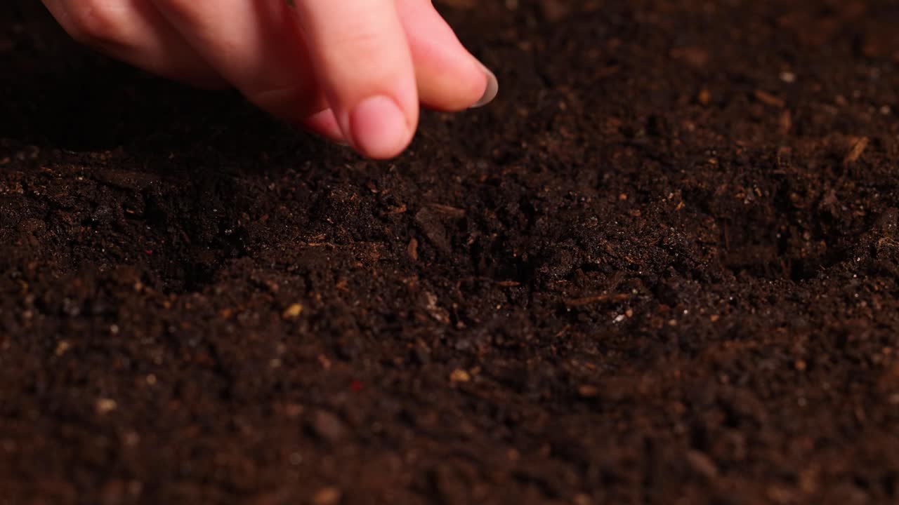 Hands plant seeds in dark soil, followed by gentle watering. Close-up shots emphasize texture and nurturing action