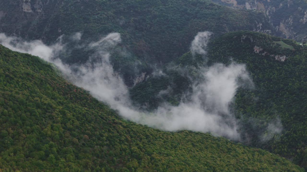Fog Rolling Through Mountains and Forest