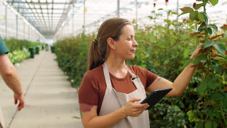 Caucasian-Woman-Working-with-Tablet-in-Flower-Greenhouse