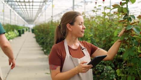 Mujer-Caucásica-Trabajando-Con-Tableta-En-Invernadero-De-Flores