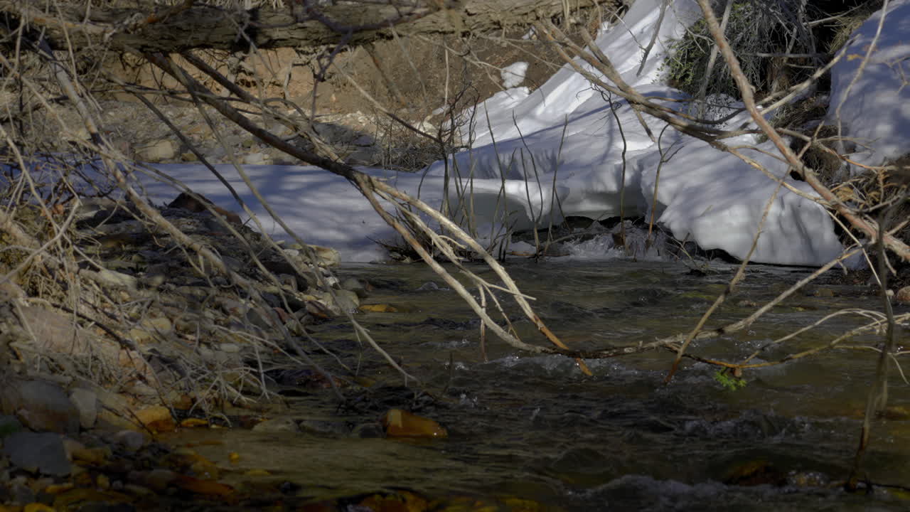 Stream Flowing In The Forest With Snow And Dried Branches. - wide shot