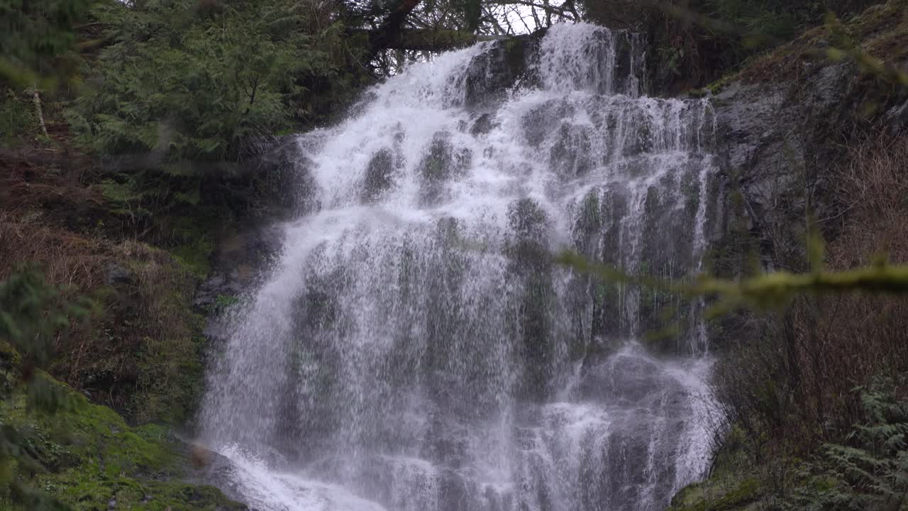 cascada en una selva tropical verde y exuberante