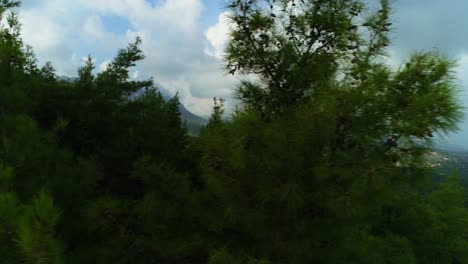 Aerial-view-of-mountains-covered-with-lush-green-trees