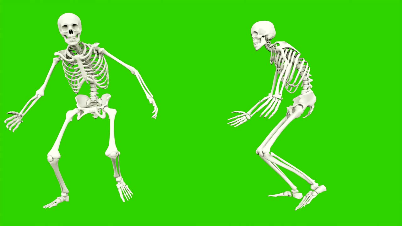lo scheletro corre. animazione a loop senza soluzione di continuità sullo schermo verde.