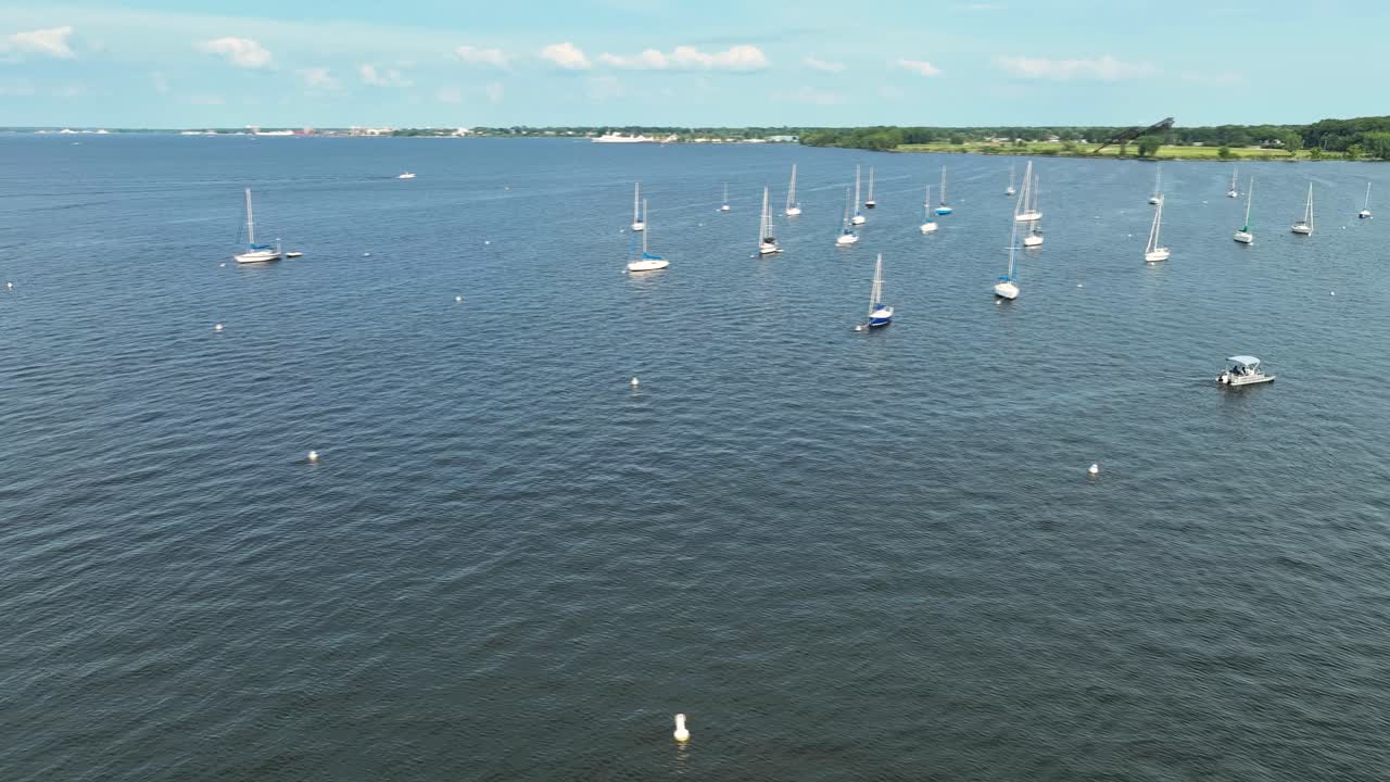 aves volando por un avión no tripulado en el aire