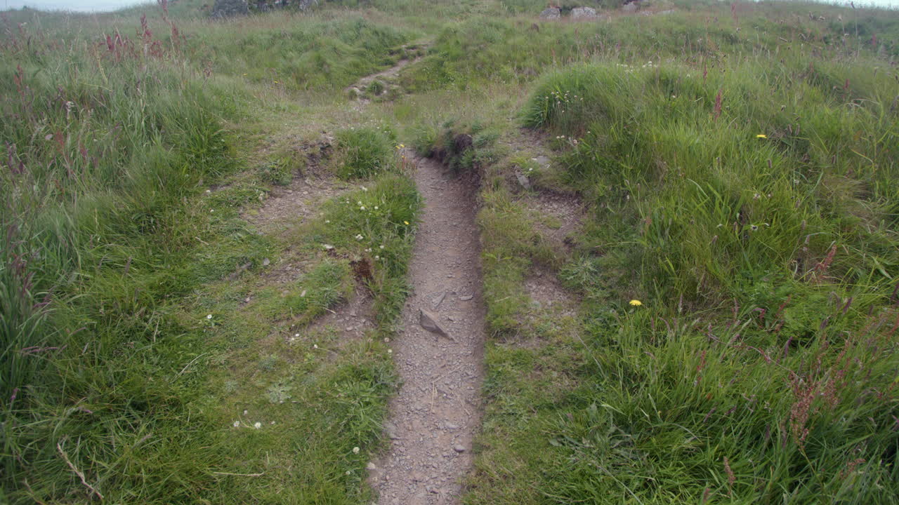 A Grassy Path Leading Up a Hill