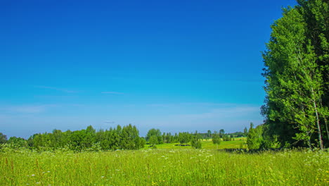 Dramatic-daylight-to-sunset-timelapse-of-a-green-landscape,-clouds-passing-overhead,-light-changing-colours-and-patterns-from-daylight-to-sunset-or-dusk