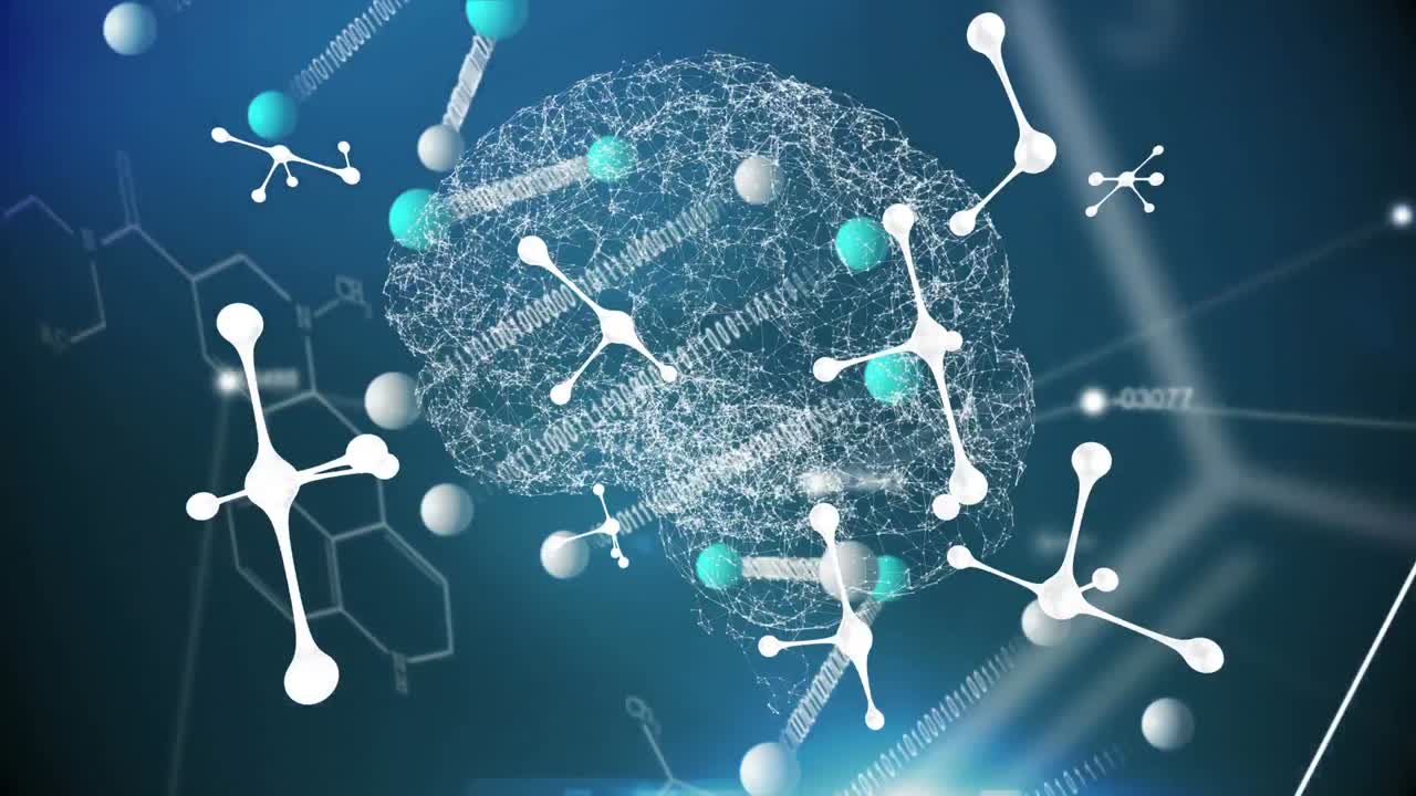 디지털 뇌에 대한 분자 구조