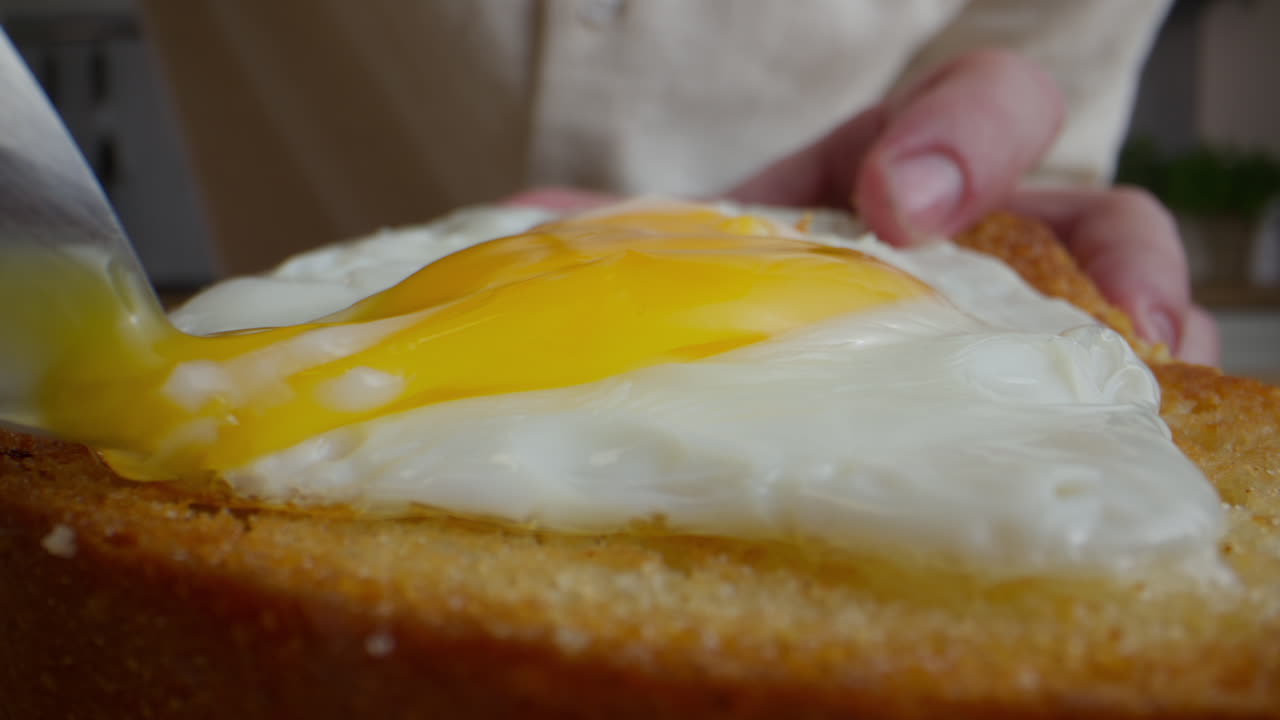 huevo frito en pan tostado