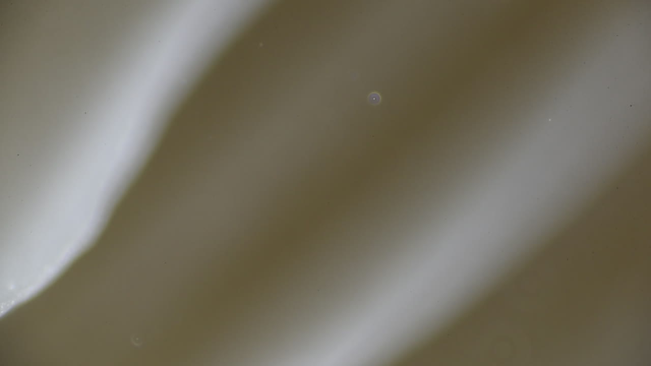 매우 자세하게 포자를 통한 버섯 번식