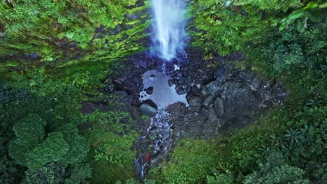 headshot of epic waterfall falling into the jungle in the salto del rodeo region of bonao of the dominican republic