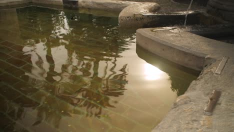 palm-trees-reflected-in-a-pond-at-Cordoba-mosque,-Spain