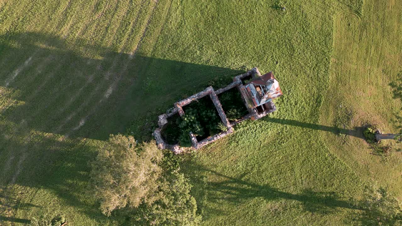vista de pájaro vista superior de la ruina de la iglesia ortodoxa o católica perdida sin techo y árboles dentro en un prado verde segado en estonia, europa - vuelo aéreo de drones sobrevuelo 2022