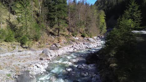 serene river flowing through a lush green forest
