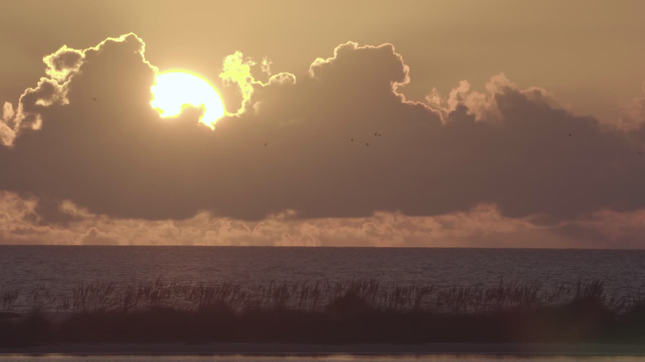 새 실루엣이 나는 따뜻하고 열대 해변 바다 일몰