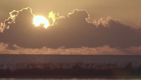 puesta de sol cálida y tropical en la playa con siluetas de pájaros volando