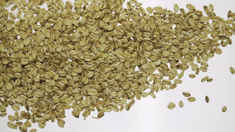 oat flakes fall in slow motion 100 fps